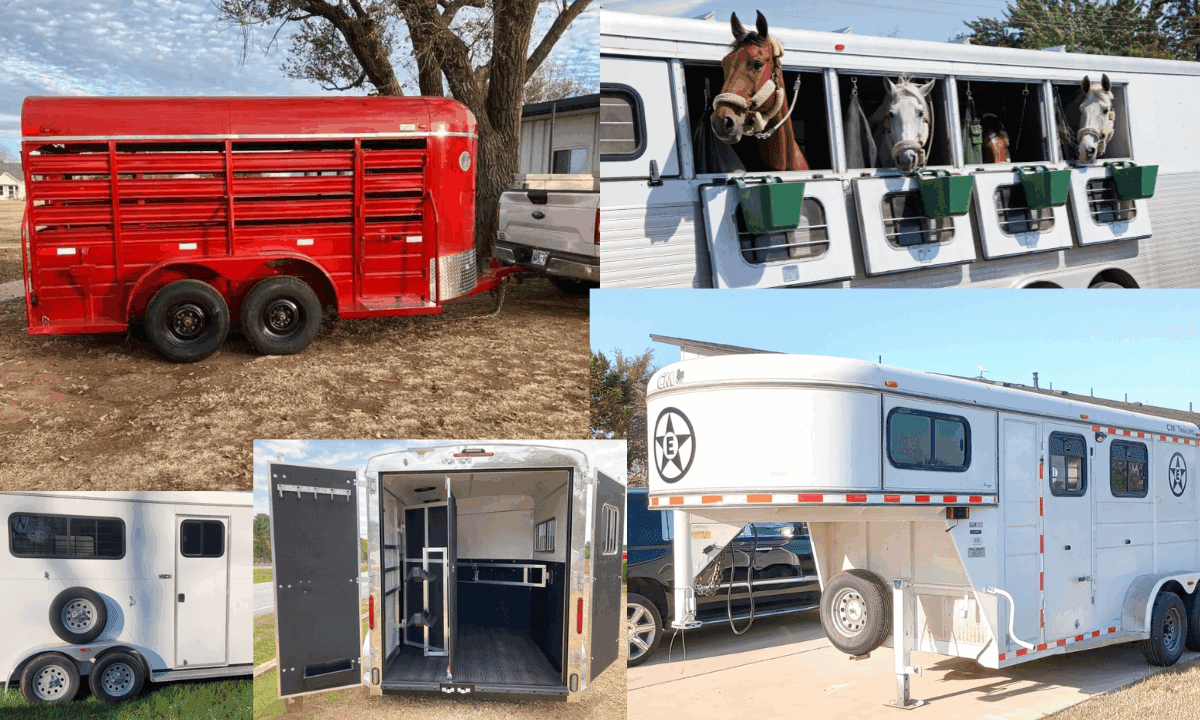 Horse trailers