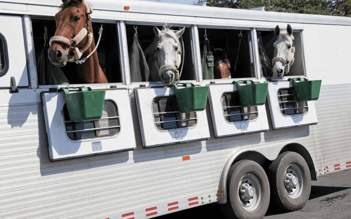 Horse Trailer