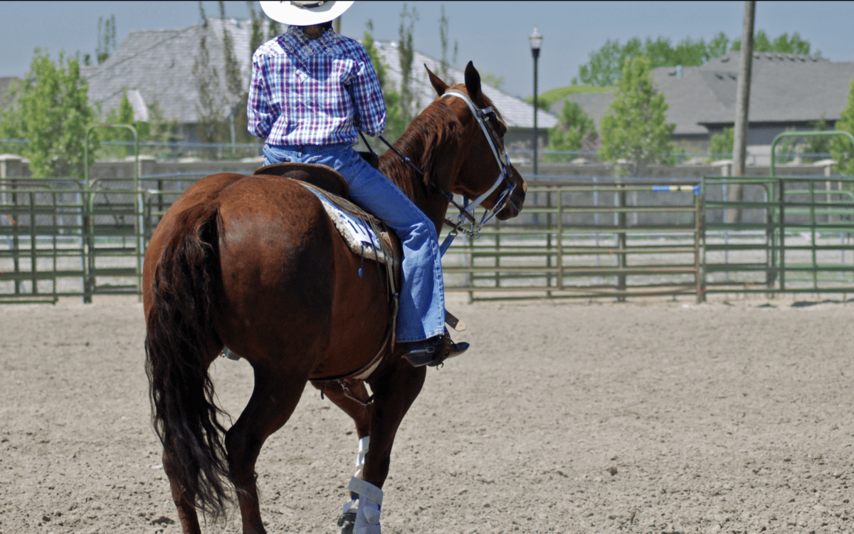 Common Horse Show Travel Mistakes to Avoid